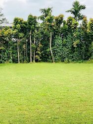 Bin Tong Park (D10), Detached #468367311